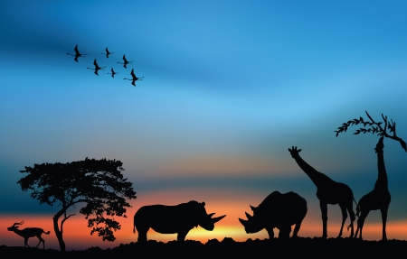 African savanna with acacia and animals at the sunsetのイラスト素材