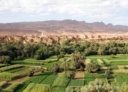 Morocco landscape: river valley, wadi, cultivations with traditional village and Anti Atlas Mountains in the backgroundの写真素材