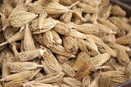 Amazing toothpicks at the souk, open-air marketplace, in the South of Moroccoの写真素材