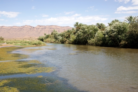 Morocco: Draa river landscape in the South of Morocco. Draa is the Morocco's longest riverの写真素材