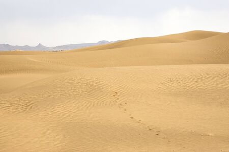 Desert landscape with footprint on the sandの写真素材