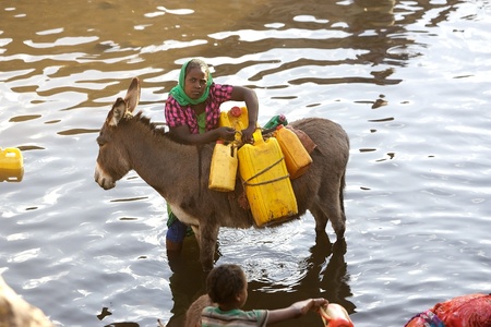 Rural area, Ethiopia, February 11, 2013: ethiopian woman with donkey is taking the water at the river のeditorial素材