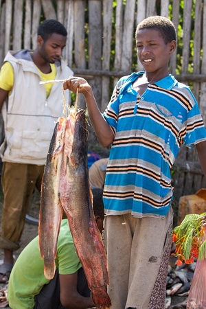 Awasa, Ethiopia, February 11, 2013: ethiopian fisherman with cat fishes at the open fish market on the banks of the Lake Awasa, Ethiopiaのeditorial素材