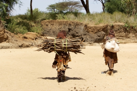 Turmi, Ethiopia, February 17, 2013: african women of the Hemr ethnic group are walking to the turmi market carrying woods and goods to seell at the market.のeditorial素材