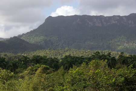 El Yunque National Park landscape, Guantanamo Province, Baracoa, Cubaの写真素材