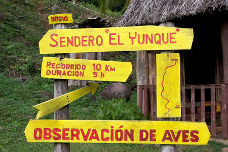 El Yunque Trail in the El Yunque National Park, Guantanamo Province, Baracoa, Cuba