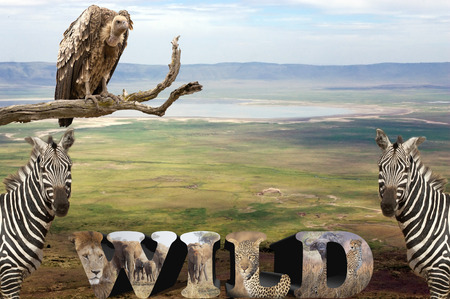 African savanna with zebras, volture, and 3D wildの写真素材