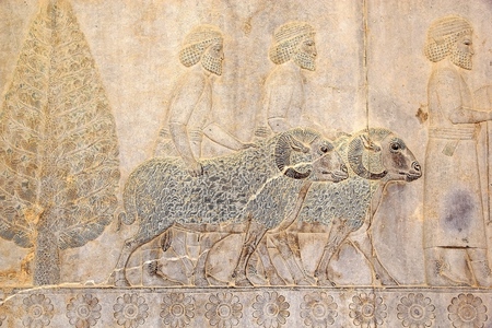 Details of a relief on the stairs of the ruins of the Apadana Palace at Persepolis  Persepolis is situated 70 km northeast of Shiraz, Iran, and was the capital of the Achaemenid Empire  550-330 BC   The earliest remains of Persepolis date from 515 BCのeditorial素材
