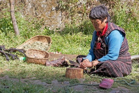 Bhutanese woman is cutting meat at the Chhume village, Bhutan.