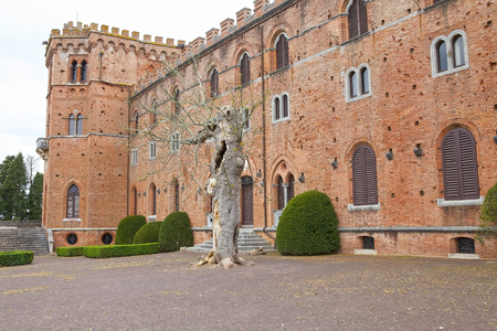 The main building in the Castello di Brolio in Gaiole in Chianti, Tuscany, Italy. It is a rural castle, palace and gardens and it has belonged to the Ricasoli family for nearly 800 years. The site was mainly known for its surrounding wine manifacture.のeditorial素材