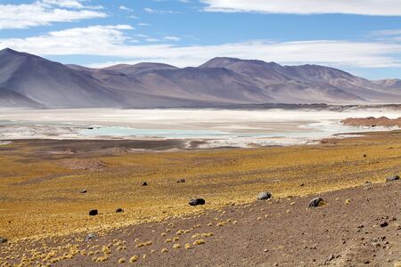 Laguna verde, green lagoon, in the Atacama desert, Chile.の写真素材