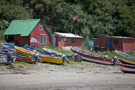 Punihuil beach with boats and houses in the northwestern cost of Greater Island of Chiloe, Chile. Punihuil is a cove with a small community. Three small island lie to the west and north of the cove and they are a breeding site for Humboldt and Magellanic のeditorial素材