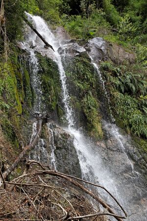Waterfall in the forest at the Vicente Perez Rosalez NationalPark, Chile. It is located in the Los...