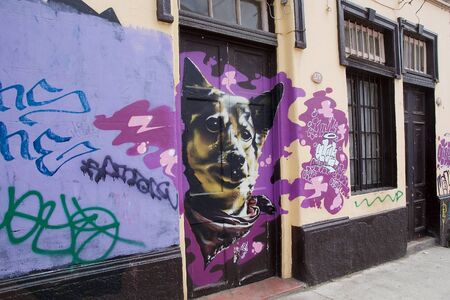 Murales along the street in Valparaiso, Chile.のeditorial素材