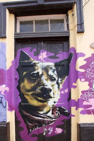 Murales along the street in Valparaiso, Chile.のeditorial素材