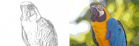 Drawing to be colored cartoon blue and yellow macaw (Ara ararauna)の写真素材