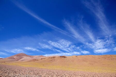 Amazing sky and peruvian feathergrass, jarava ichu, in the Puna de Atacama, Argentina. Puna de Atacama is an arid high plateau in the Andes of northern Chile and Argentina. In Argentina Puna's territory is extended in the provinces of Salta, Jujuy and Catamarcaの写真素材