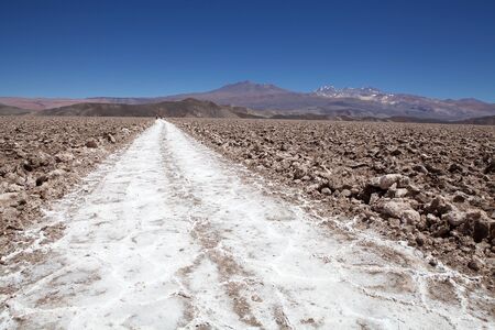 People are walking along the trail at the salt pan at the flat Salar of Antofalla at the Puna de Atacama, Argentina. Puna de Atacama is an arid high plateau in the Andes of northern Chile and Argentina. In Argentina Puna's territory is extended in the provinces of Salta, Jujuy and Catamarcaの写真素材