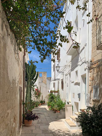 Street in the historic center of Polignano a mare, Apulia, Italy. It is a town in southern Italy, on the Adriatic sea. The local economy depends on tourism, agriculture and fishing. It is believed to be the site of the ancient Greek city of Neapolis of Apuliaの写真素材