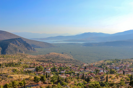 A scenic view with sprawling olive groves, distant mountains, and serene waters under a clear sky,...