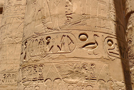 Close-up of detailed ancient Egyptian hieroglyphs carved into sandstone columns, showcasing birds, symbols, and pharaonic inscriptions in bright sunlight.の写真素材