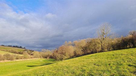 Countryside landscape with leafless trees and sunlit grassy field under dramatic cloudy sky.の写真素材