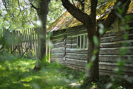 Old wooden cabin with mossy roof and rustic fence in a shady forest garden in summer.の写真素材