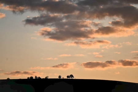 Silhouettes of trees on a hill during sunset, with colorful clouds in the sky and warm evening light.の写真素材