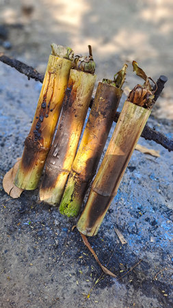 Bamboo tubes roasting over open fire, traditionally used in Cambodia to cook sticky rice desserts known as "kralan" â a local delicacy made with rice, beans, and coconut.の写真素材