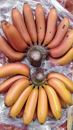 Top-down view of two bunches of ripe red bananas displayed on a plastic sheet at a local market.の写真素材