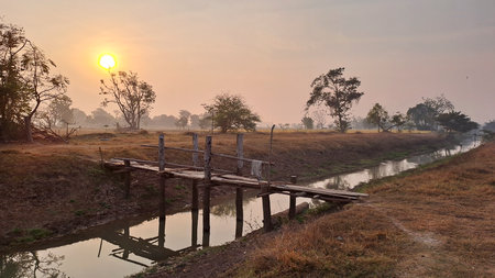 Rustic wooden bridge over a canal in Banan District, Battambang Province, Cambodia, at sunrise, with dry grass and trees in morning light.の写真素材