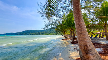 Tropical beach with palm trees and calm waves in Sihanoukville, Cambodia, on a sunny day.の写真素材