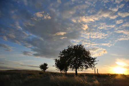 Sunset over a rural field with tall grass and scattered trees, dramatic clouds in the sky and warm golden sunlight on the horizonの写真素材