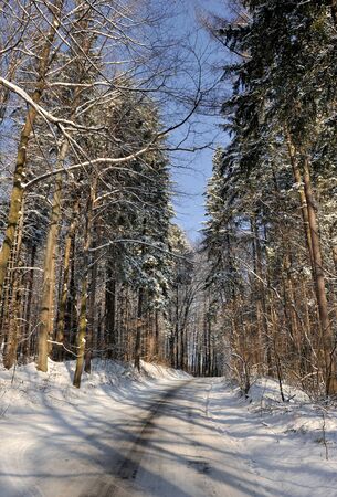 winter roadの写真素材
