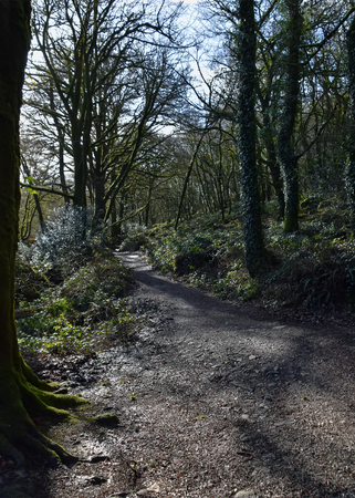 Golitha Fallsの写真素材