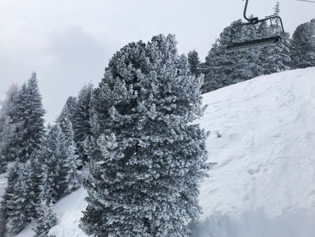 Ski Lift Mountain Snow White Tree Vacation Skyの写真素材