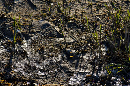 a picture of the ground with mud and ice and some grass.