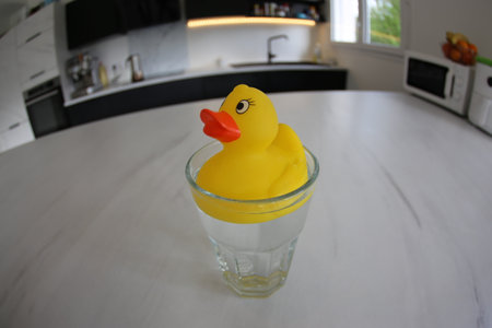 Rubber duck bathing in glass of waterの写真素材