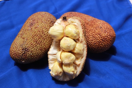 Cempedak fruits, the fruit is native to southeast Asia, occurring from Indonesia and the Malay...