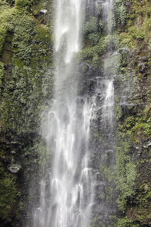 A waterfall in Malang, East Java, Indonesia, named Coban Rondo, with a height of 83 meters.の写真素材