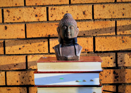 Buddha Sun Books Brick Wall