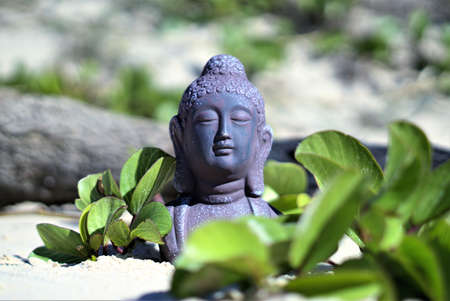 Meditating Buddha statue with bokeh. On sand in outdoor setting in sunlight. In natural setting statue of Buddha at beach surrounded with green leaves and tree branch in backgroundの写真素材