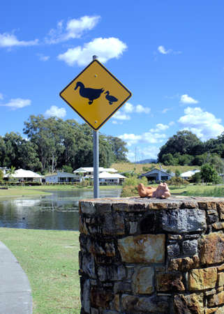 Yellow street sign to caution drivers and pedestrians about ducks or birds. In view are sign post, stone wall, terracotta garden ornaments. In background are park, lake, trees, blue sky, real estateの写真素材