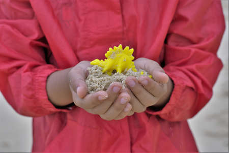 Kid at beach playing with sand and toy in his hands. Close up shot of hand and torso.