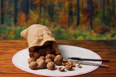 Nuts and nutcracker on a table against autumn landscapeの写真素材