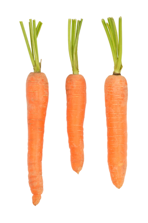 Fresh red carrots isolated on white の写真素材
