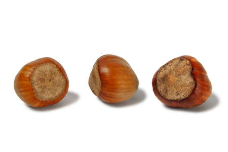 Macro of three hazelnuts isolated on white backgroundの写真素材