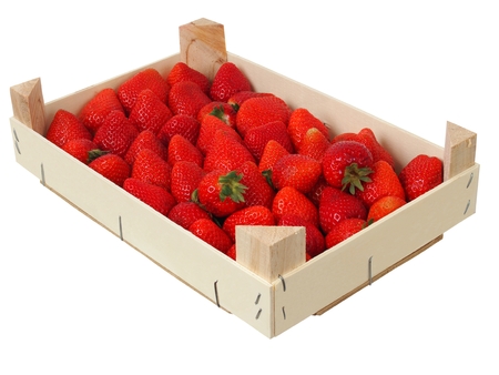 Strawberries in wooden box, isolated on white backgroundの写真素材