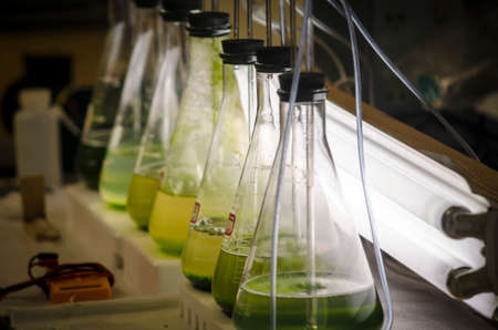 Erlenmeyer flasks in a laboratory
