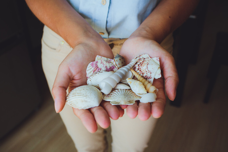 in human hands, women holding beautiful seashells, cone, starfishの写真素材